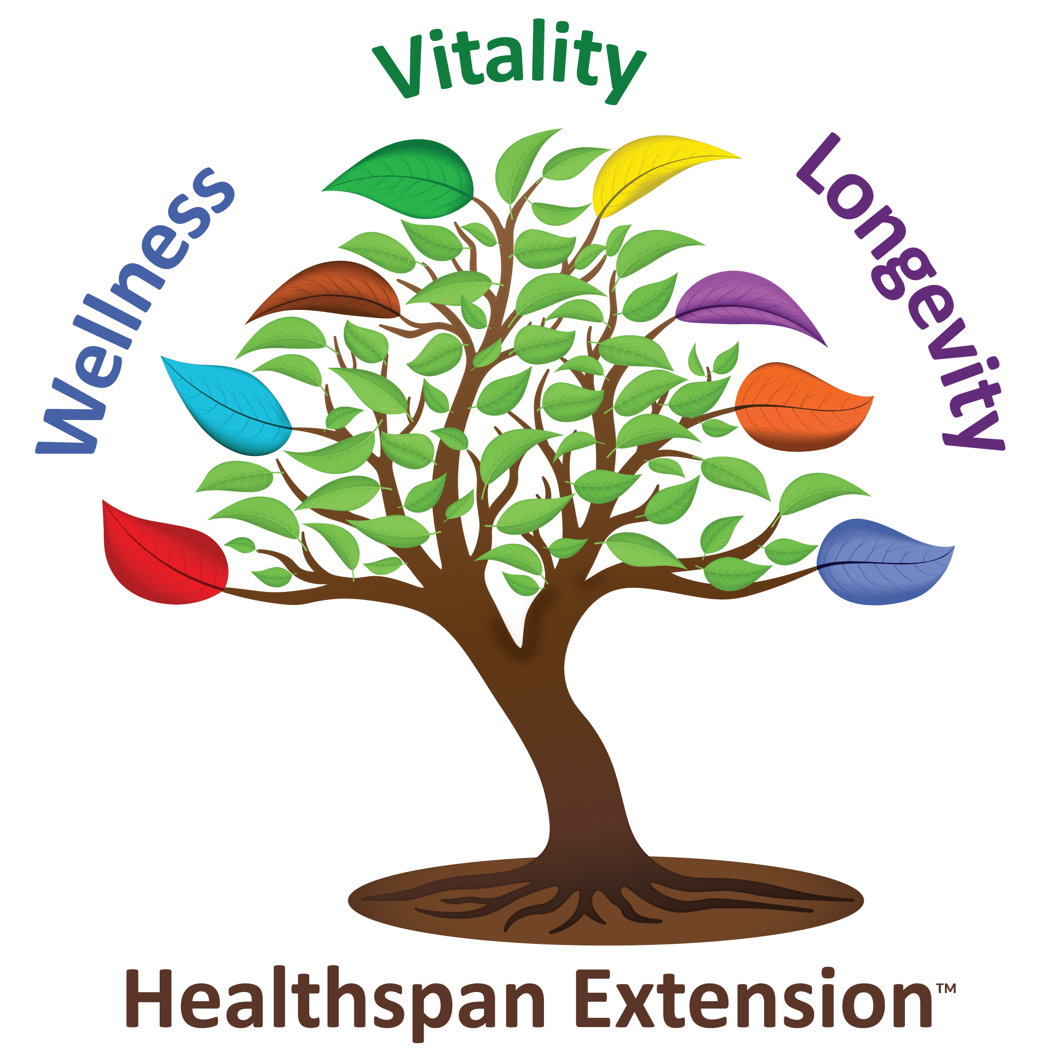 Healthspan Extension™